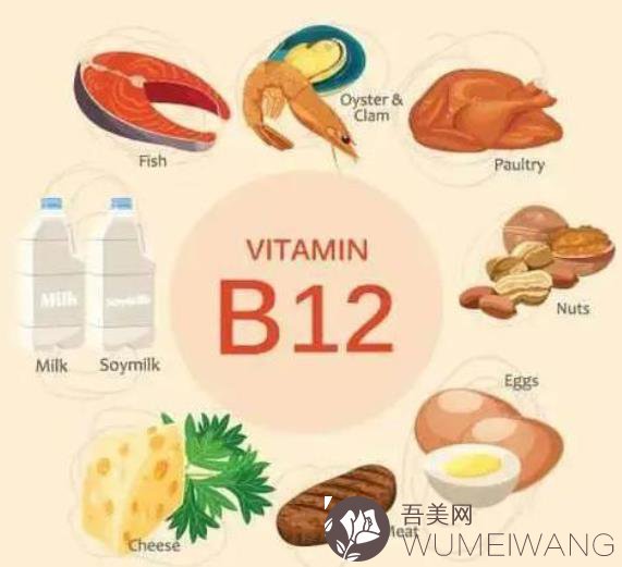 维生素b12的作用及功能介绍