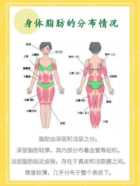 上海脂肪填充真实案例