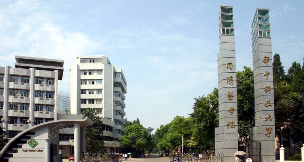 华中科技大学同济医学院整