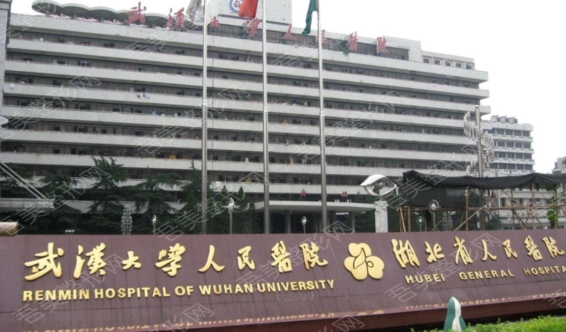 武汉大学人民医院整